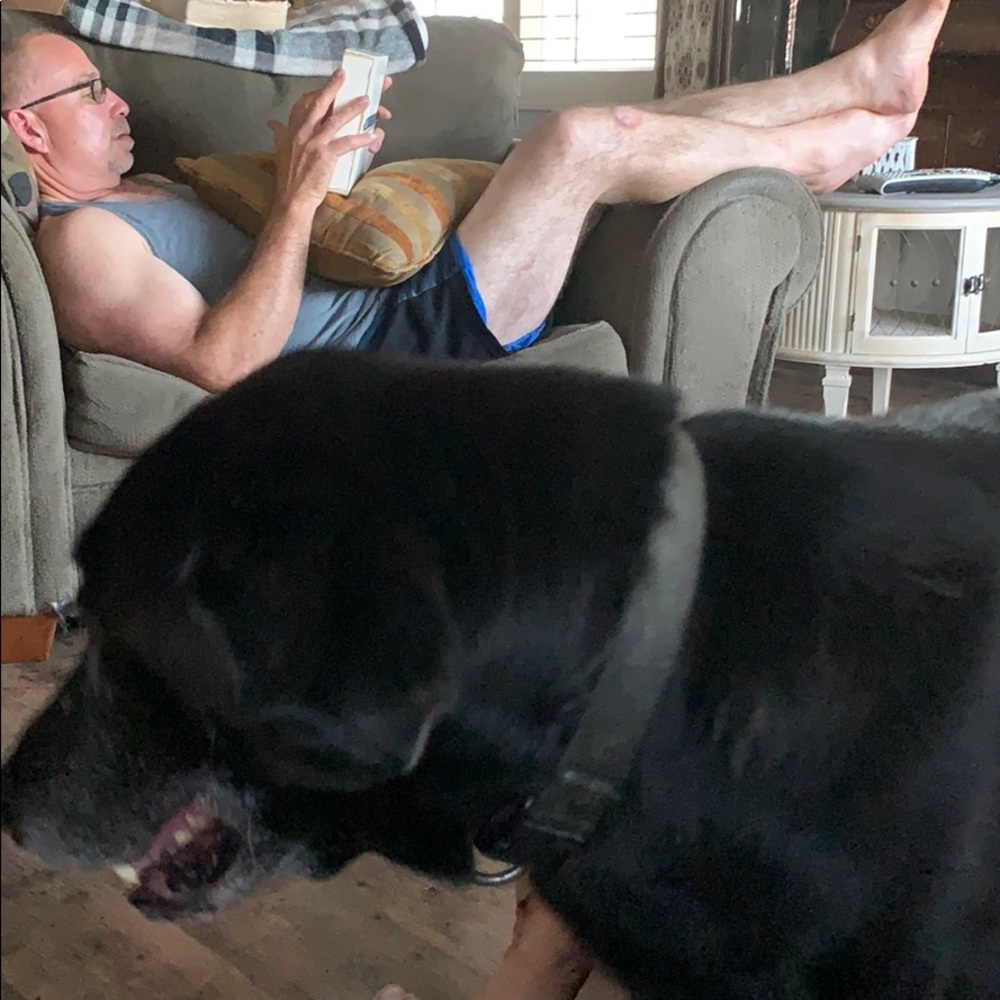 Meet your Posher, Janet